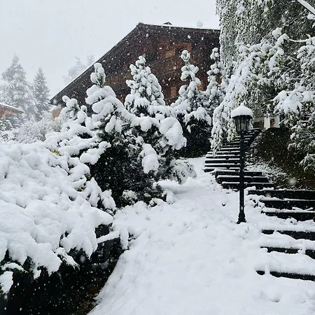Chalet Royal Les Diablerets